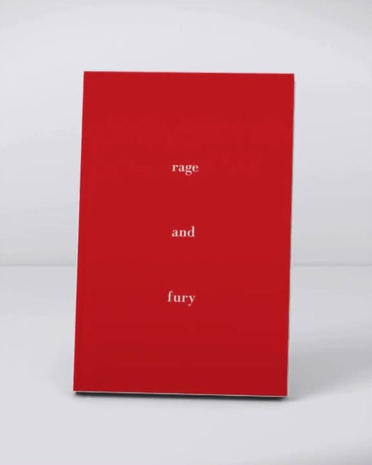 Rage and Fury - eBook (purchase on Amazon)